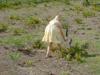 Dscf0225.jpg (100358 bytes)