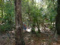 Dscf0230.jpg (684680 bytes)