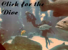 Click for Dive photos and video