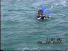 Video of swimming with the dolphins (large)